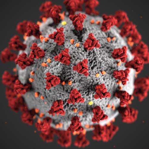 COVID-19 Isolation and Precautions CDC Guidelines