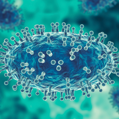 MONKEYPOX Isolation and Precautions CDC Guidelines